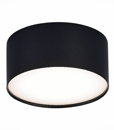 Потолочный светильник ST Luce Functional ST606.442.12