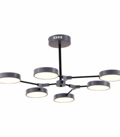 Потолочный светильник Evoluce Monta SLE6003-702-06