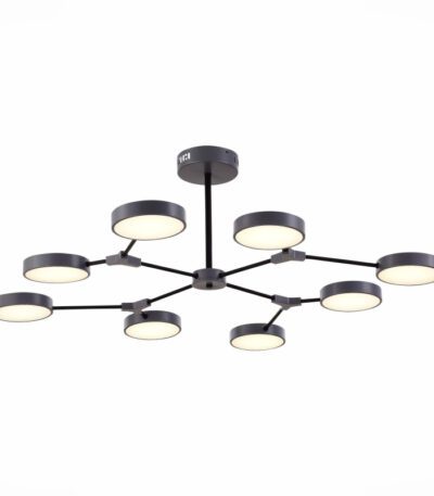 Потолочный светильник Evoluce Monta SLE6003-702-08