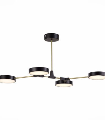 Потолочный светильник Evoluce Monta SLE6004-402-04