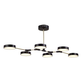 Потолочный светильник Evoluce Monta SLE6004-402-06