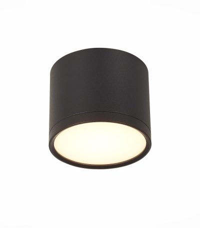 Потолочный светильник ST Luce Rene ST113.432.09