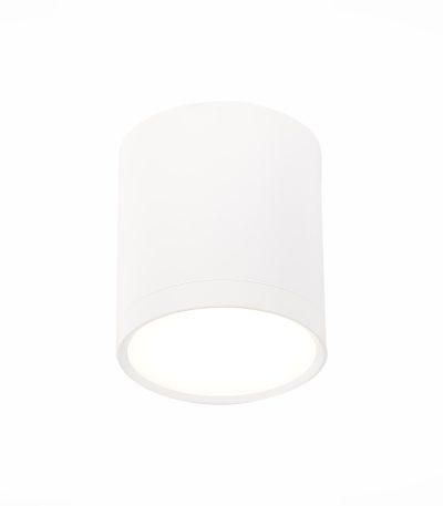 Потолочный светильник ST Luce Rene ST113.542.05