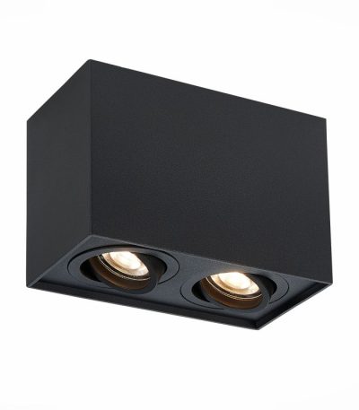 Потолочный светильник ST LUCE ST109.407.02