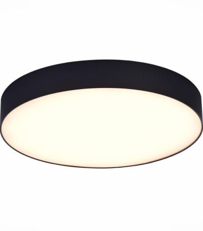 Потолочный светильник ST Luce ST606.432.48