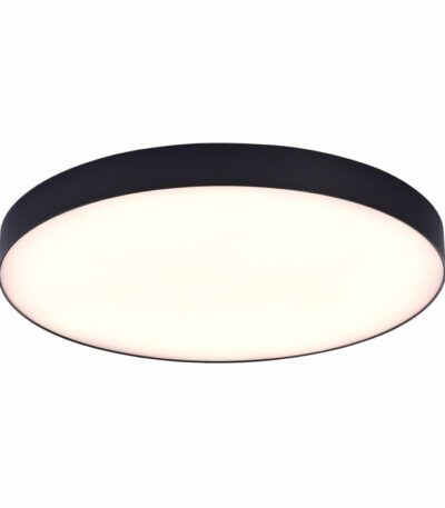 Потолочный светильник ST Luce ST606.432.96