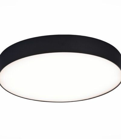 Потолочный светильник ST Luce ST606.442.48