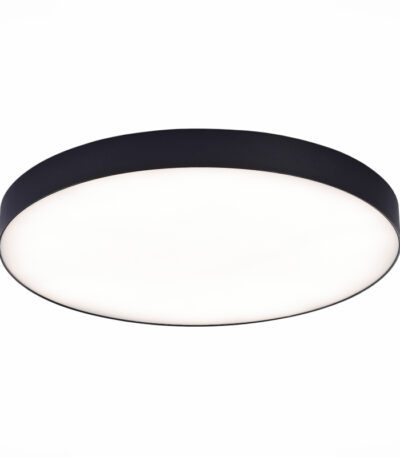 Потолочный светильник ST Luce ST606.442.96