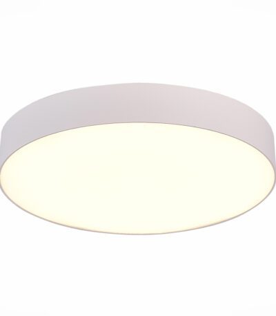 Потолочный светильник ST Luce ST606.532.48