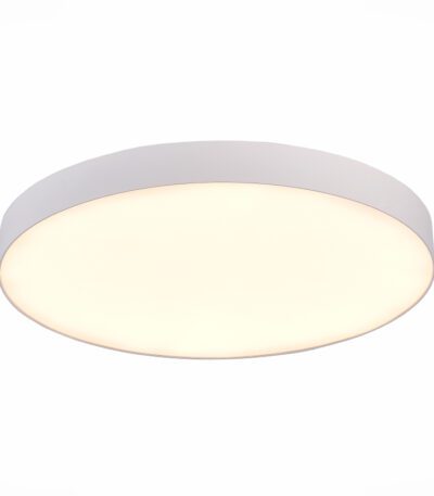 Потолочный светильник ST Luce ST606.532.96