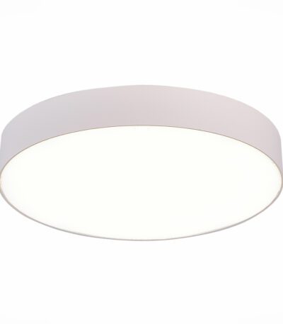 Потолочный светильник ST Luce ST606.542.48