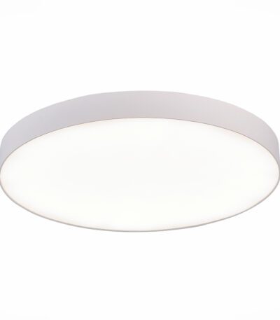 Потолочный светильник ST Luce ST606.542.96