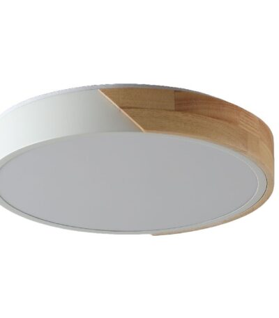 Потолочный светильник Zortes Alberro ZRS.01239.90