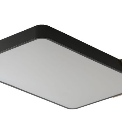 Потолочный светильник Zortes Alberro ZRS.01244.60