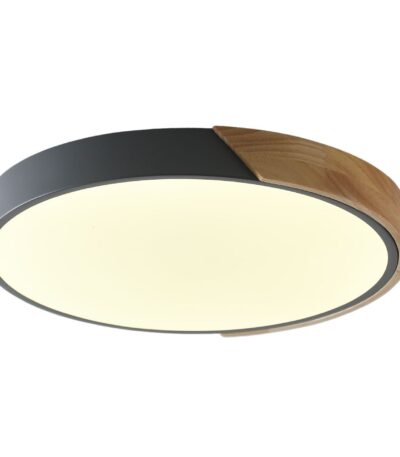 Потолочный светильник Zortes Alberro ZRS.01280.90