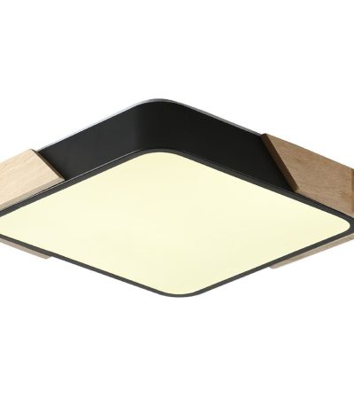 Потолочный светильник Zortes Alberro ZRS.01281.24