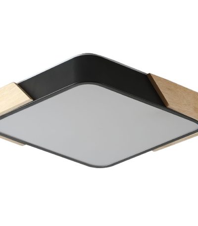 Потолочный светильник Zortes Alberro ZRS.01281.48