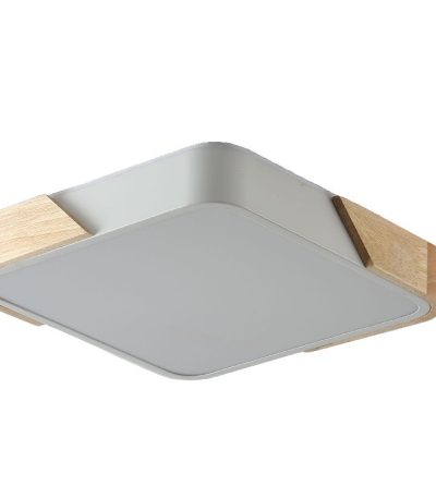 Потолочный светильник Zortes Alberro ZRS.01285.48