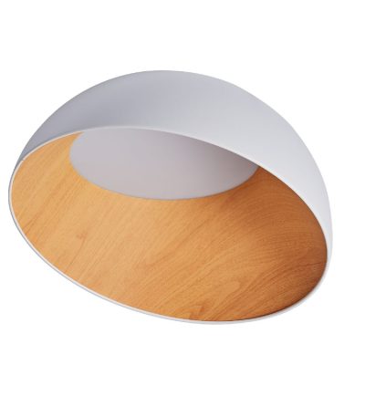 Потолочный светильник Zortes Baum ZRS.01201.19