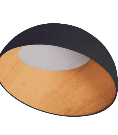 Потолочный светильник Zortes Baum ZRS.01243.07