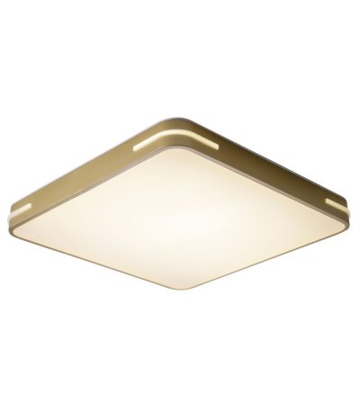 Потолочный светильник Zortes Gabby ZRS.1215.04