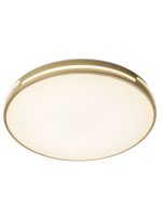 Потолочный светильник Zortes Gabby ZRS.90610.50