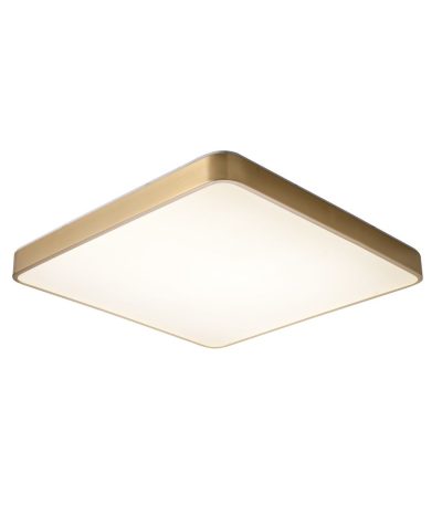 Потолочный светильник Zortes Monna ZRS.1209.05