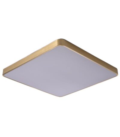 Потолочный светильник Zortes Monna ZRS.1209.07