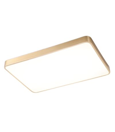 Потолочный светильник Zortes Monna ZRS.1209.09