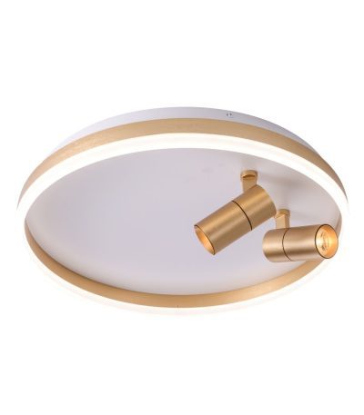 Потолочный светильник Zortes Raizy ZRS.1888.02