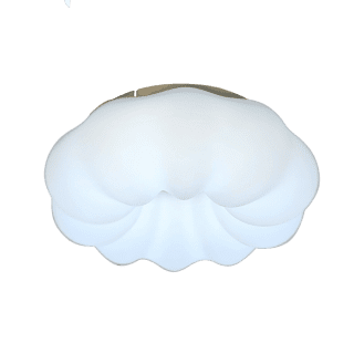 Потолочный светильник Zortes Soft ZRS.1118.2