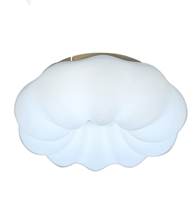 Потолочный светильник Zortes Soft ZRS.1118.2