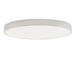 Потолочный светильник Zortes Tortty ZRS.02565.96