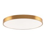 Потолочный светильник Zortes Tortty ZRS.02566.96