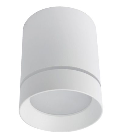 Потолочный светодиодный светильник Arte Lamp A1909PL-1WH