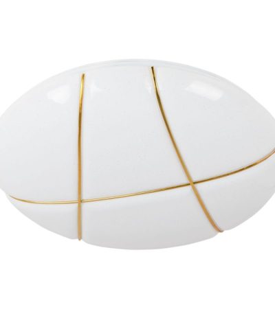 Потолочный светодиодный светильник Arte Lamp Biscotti A2677PL-72GO