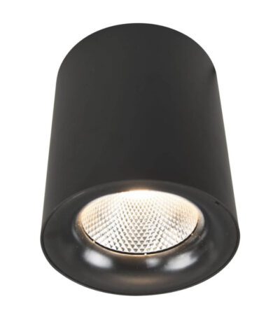 Потолочный светодиодный светильник Arte Lamp Facile A5118PL-1BK