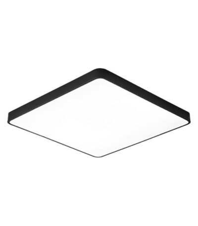 Потолочный светодиодный светильник Arte Lamp Scena A2669PL-1BK