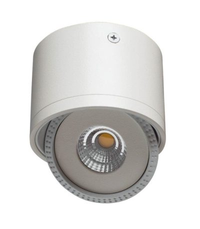 Потолочный светодиодный светильник Arte Lamp Studio A4105PL-1WH