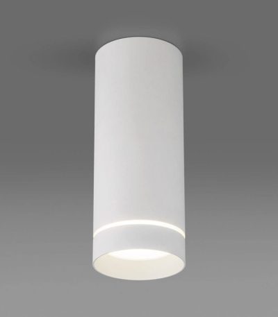 Потолочный светодиодный светильник Elektrostandard DLR022 12W 4200K белый матовый 4690389102974