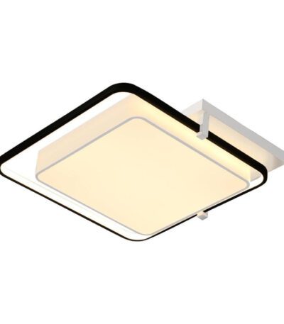 Потолочный светодиодный светильник Escada 10242/2LED