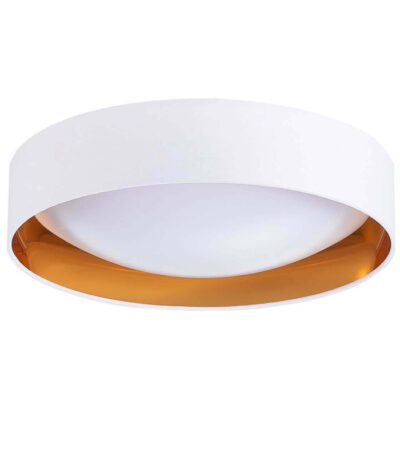 Потолочный светодиодный светильник Evoluce Orbio SLE201122-01