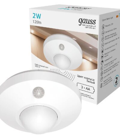 Потолочный светодиодный светильник Gauss CL001