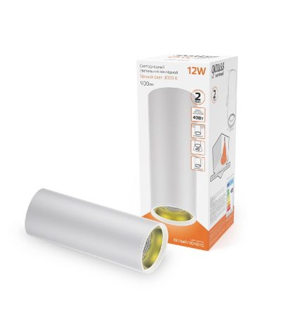 Потолочный светодиодный светильник Gauss Overhead HD012