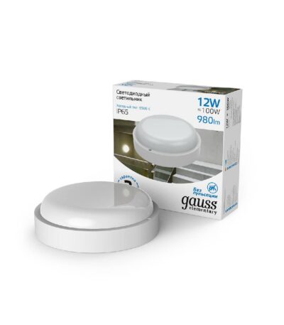 Потолочный светодиодный светильник Gauss Сауна 126411312