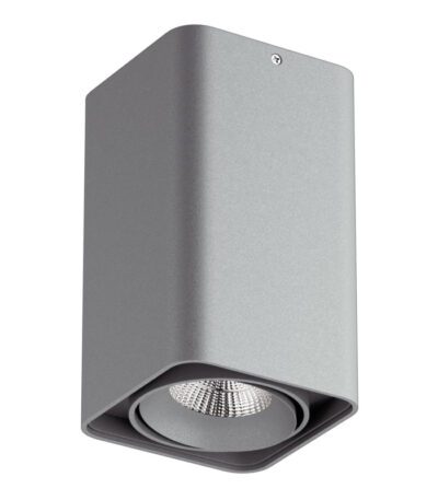 Потолочный светодиодный светильник Lightstar Monocco 052139