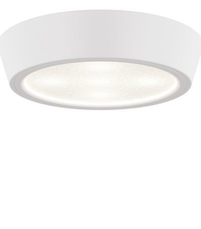 Потолочный светодиодный светильник Lightstar Urbano 214904