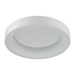 Потолочный светодиодный светильник Odeon Light Sole 4062/50CL