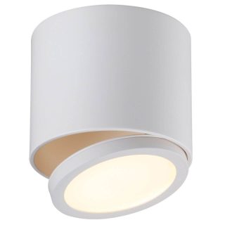 Потолочный светодиодный светильник Omnilux Canicatti OML-20501-01