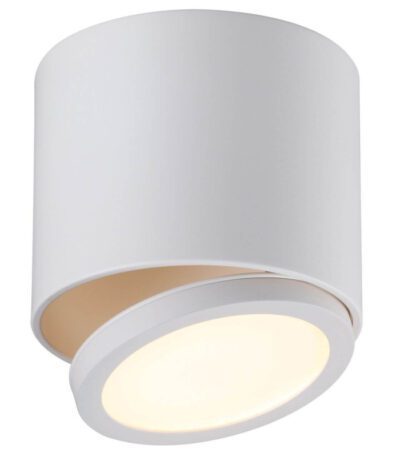 Потолочный светодиодный светильник Omnilux Canicatti OML-20501-01